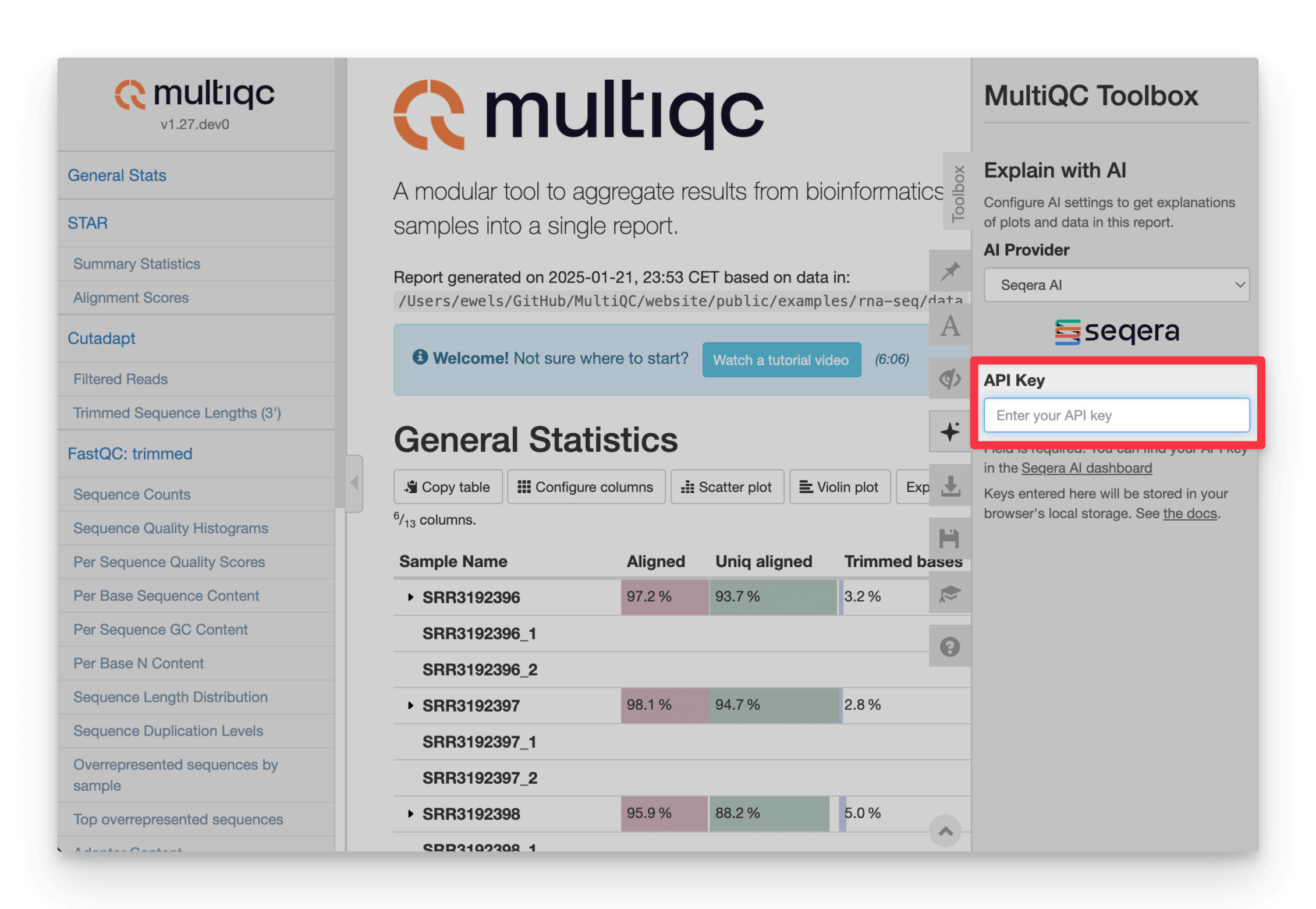 Enter a provider API key in the report toolbox