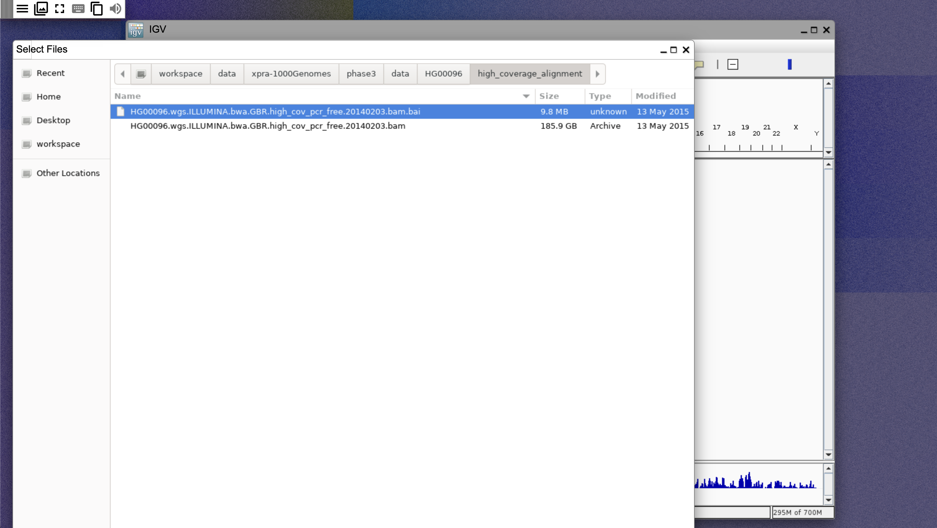 Load BAM file in IGV desktop